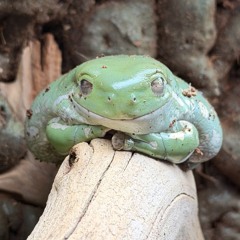 Fought Off In Your Stead