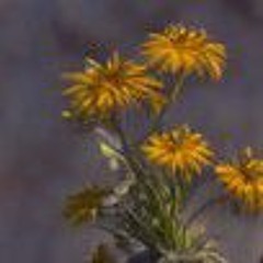 Respire - Noh4ine.mp3