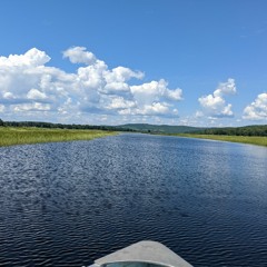 last days of summer 02