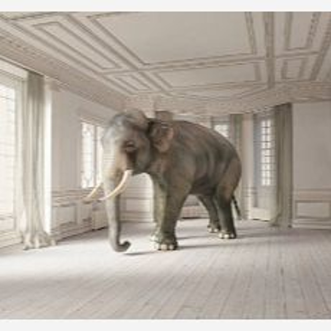 El Elefante En La Habitacion de Europa