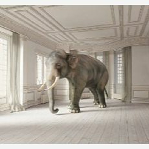El Elefante En La Habitacion de Europa