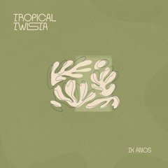 V​/​A - Tropical Twista Records IX Anos (TTR100)