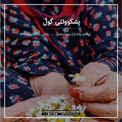 Radiohobe-پشکووتنی گوڵ