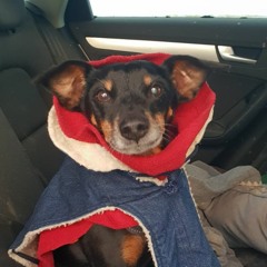 Jan 2024 - The Boy :0) Smile Remix