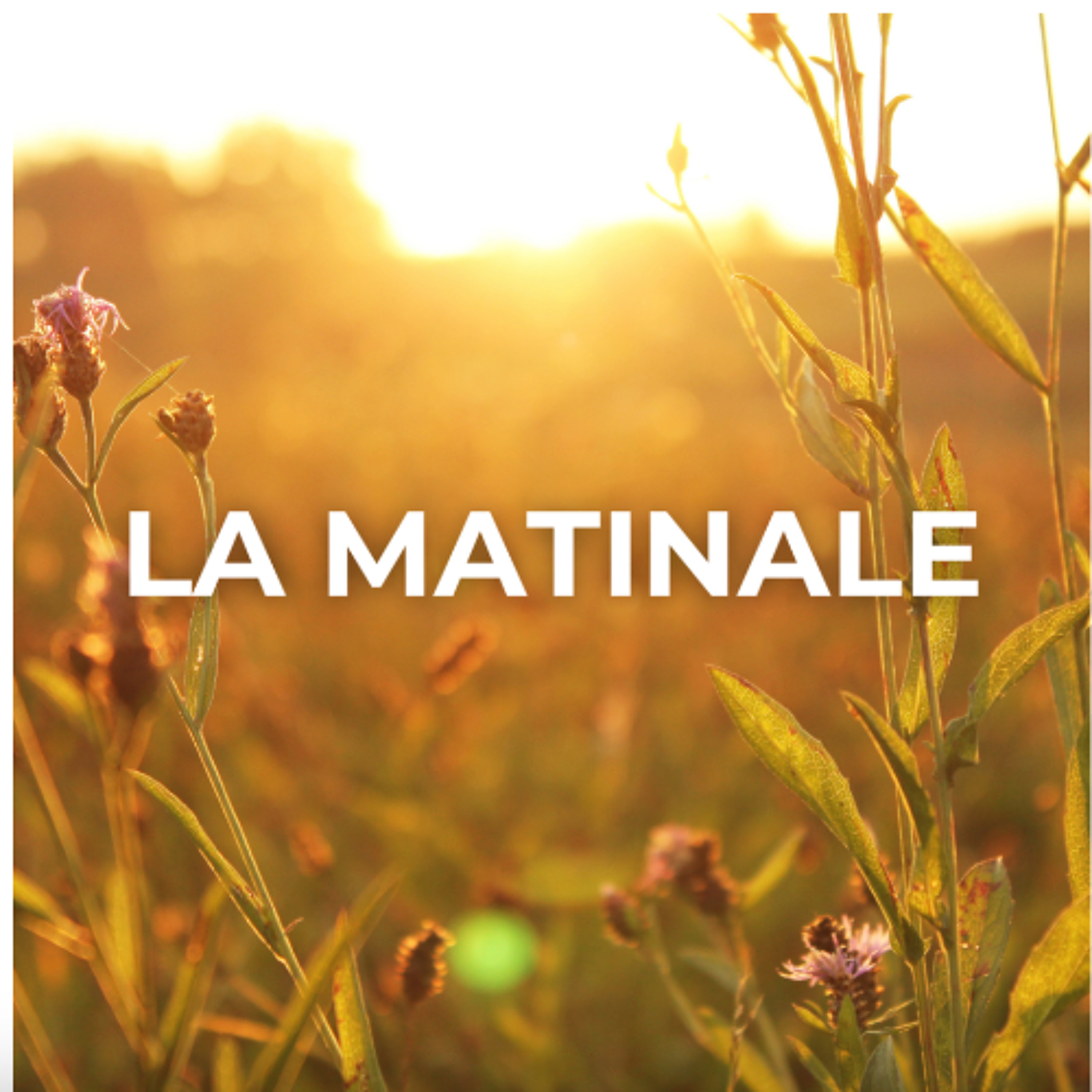 20251105-lamatinale episode artwork