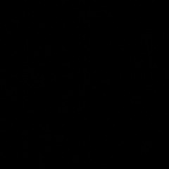 Les fêtes de Mauléon