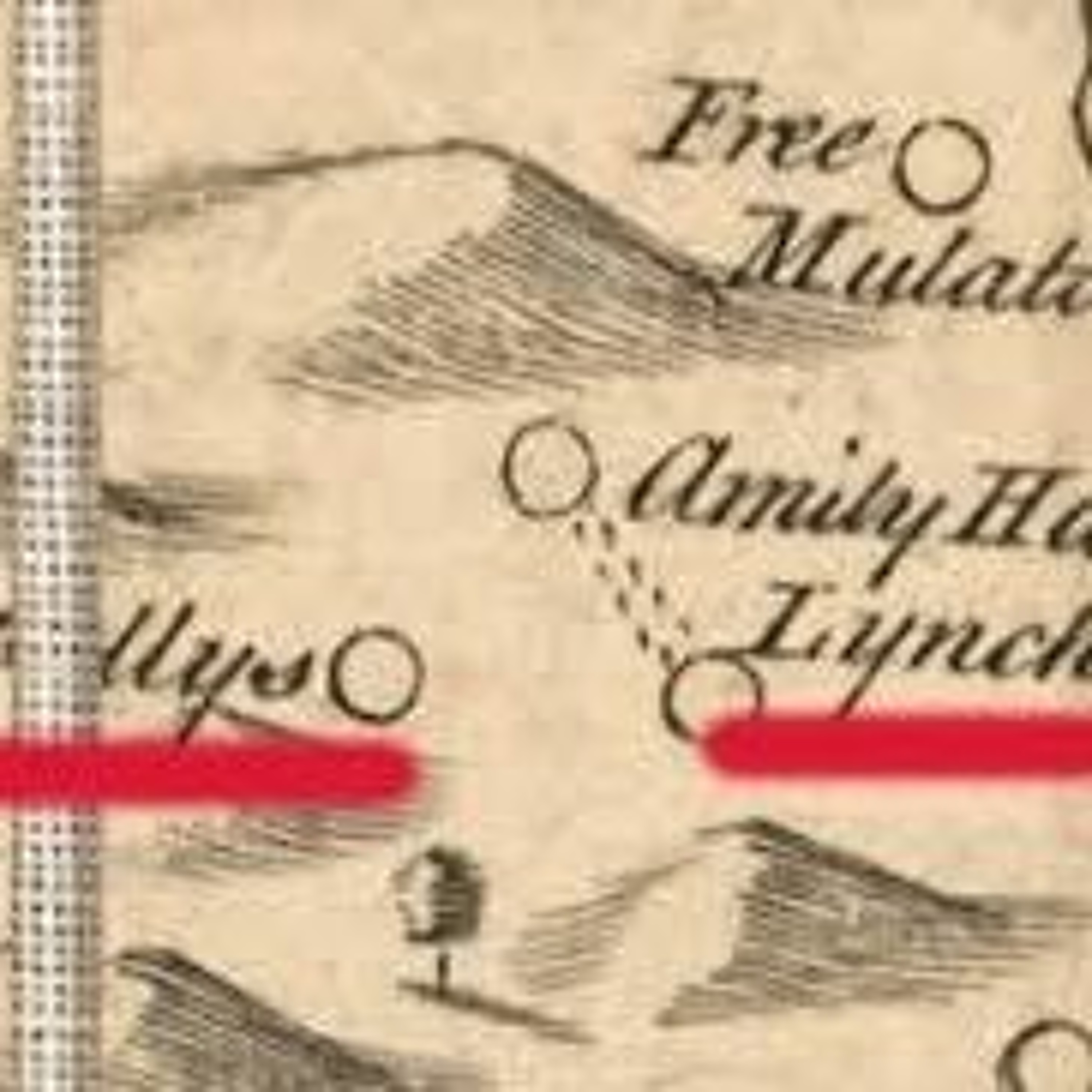 TLRH | Irish Historical Society | Ireland and the Caribbean: People, Property and Profits episode artwork