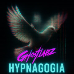 HYPNAGOGIA
