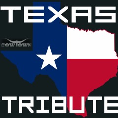 Flac Quito x Sicc - Everyday - Texas Tribute