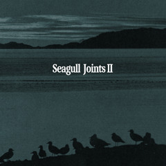 SEAGULL JOINTS II