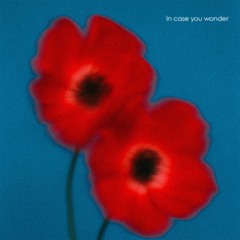 Montee - In Case You Wonder