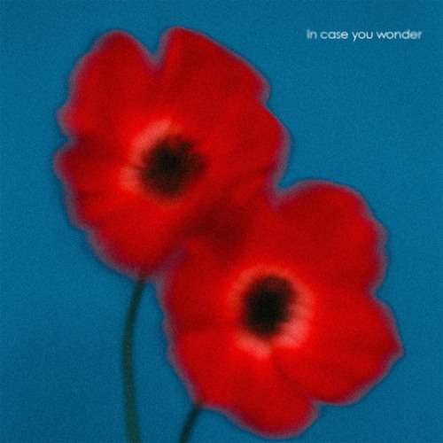 Montee - In Case You Wonder