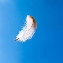 Caressed to Death #7: Feather of Yin