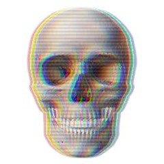 skibidi