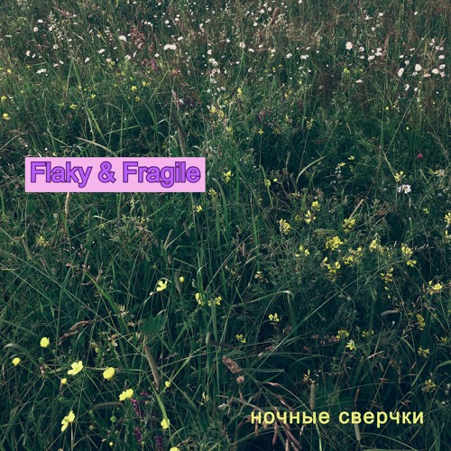 Flaky & Fragile - Ночные Сверчки