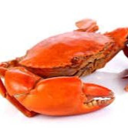 Crab