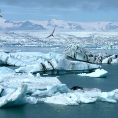 Arctic Traveller (2015) Anthology CD1 Track 04