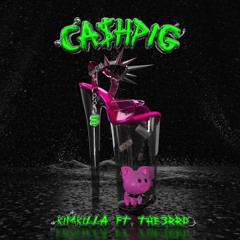CA$HPIG ft. 3RRDWRLD
