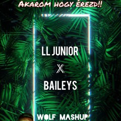 Baileys x Ll Junior ( WOLF Mashup )