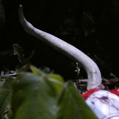 where Do I go if I Lost ground?