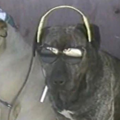 WHATEVERCOASTN*GGA