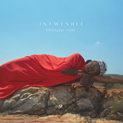 iNtwenhle (feat. Kaelan DiJulio)