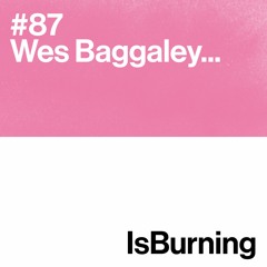 Wes Baggaley... Is Burning #87