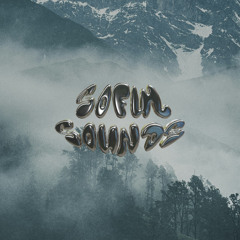 I Need A Twin (SofulSounds Mix)