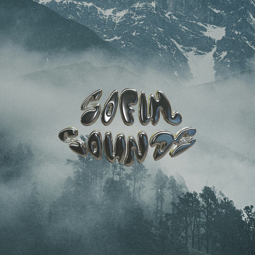 I Need A Twin (SofulSounds Mix)