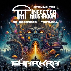 Opening for Infected Mushroom - Re-Recorded Lisboa Rio, Portugal