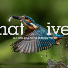 Chester Zoo - Native - Coasts Excerpt