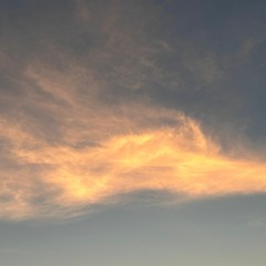 Angels Have Wings