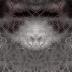 PS023 - CHEAHDX 'Visage'