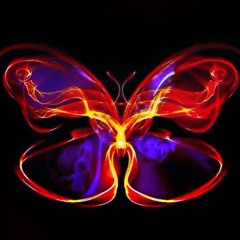26AUG25/geronimo@SAFARI: The Butterfly Experience/Sunday240825/TRACKLIST