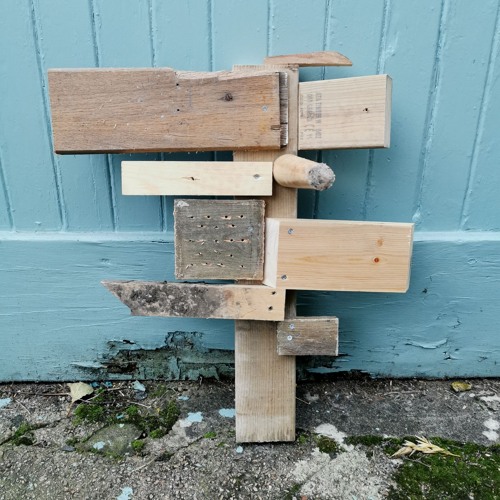 the tree that thirsts for rain (disquiet0669)