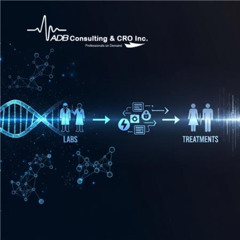 From Idea to Impact: The Hidden Steps in Medical Science