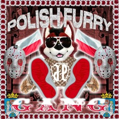 REAL POLISHFURRYGANG SHIT