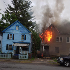 Lil Papa Bean - solvent