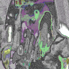 never been a playground feat scotty rx (prod. duhmaso)