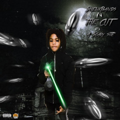 Shakesumgeez ft Yahcier - knew it  (official audio)