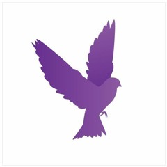 lazyboi - like a bird