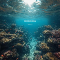 THE RED SEA (Fonecys Saudi Arabia Mix)