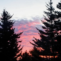 Evenings of Yesteryear