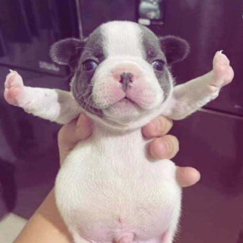 copyright check is a monster