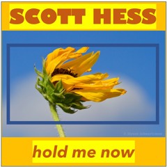 Hold Me Now