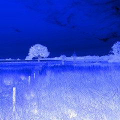 Меланхолія на обличчі