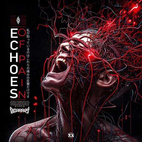Disarray - Echoes Of Pain