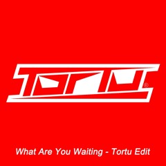 What Are You Waiting - Tortu Edit