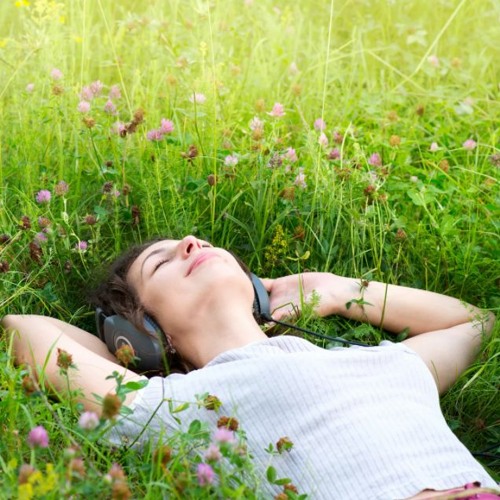 95north form background (FREE DOWNLOAD)