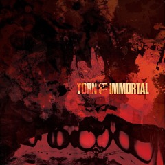 Torn - Immortal [SMDELP11] *Previews*